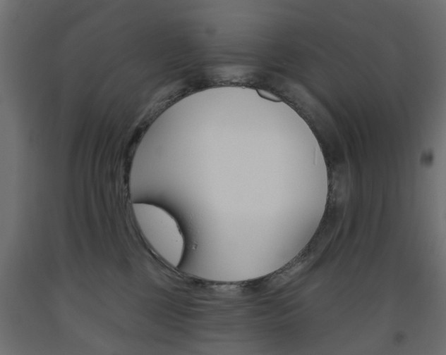 X0000093560377200710151001