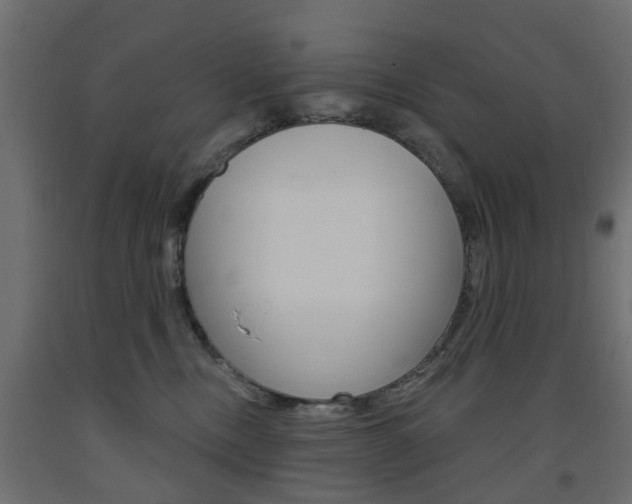 X0000093560378200710151001