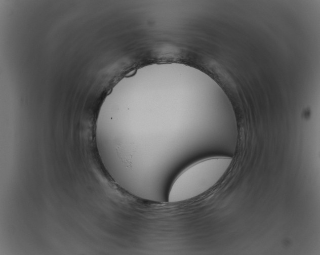 X0000093560379200710151001