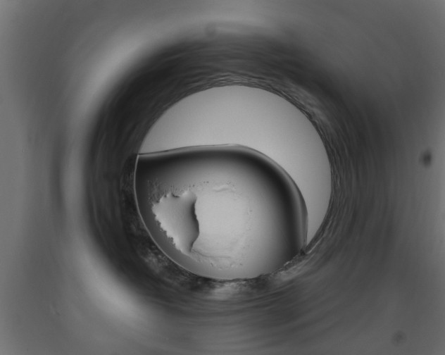 X0000093560382200710151001