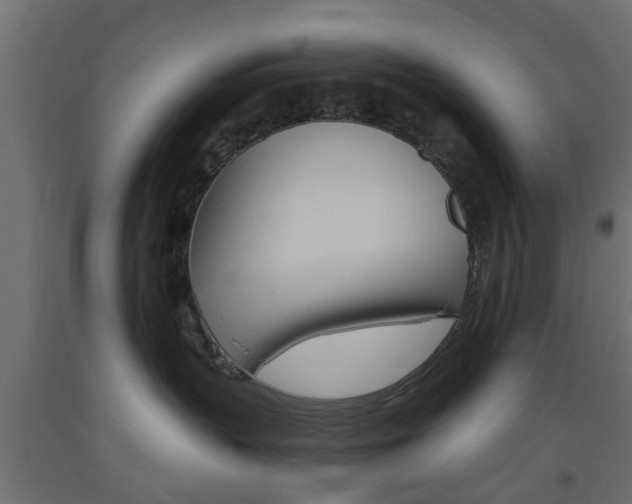 X0000093560383200710151001
