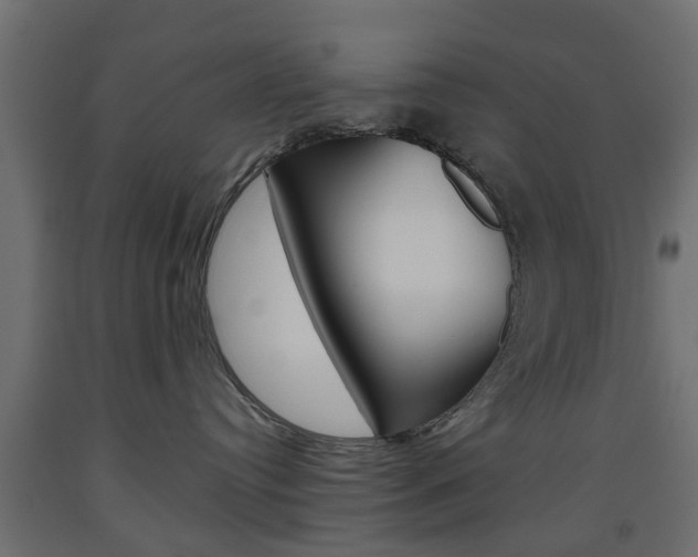 X0000093560384200710151001
