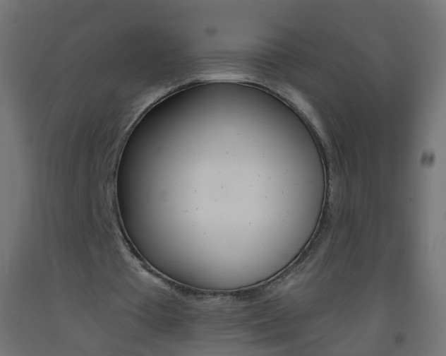 X0000093560385200710151000