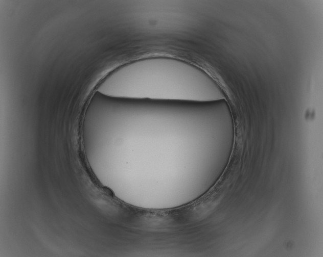 X0000093560386200710151000