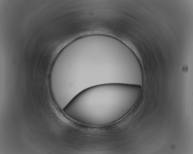 X0000093560389200710151000