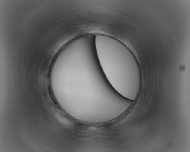 X0000093560390200710151000