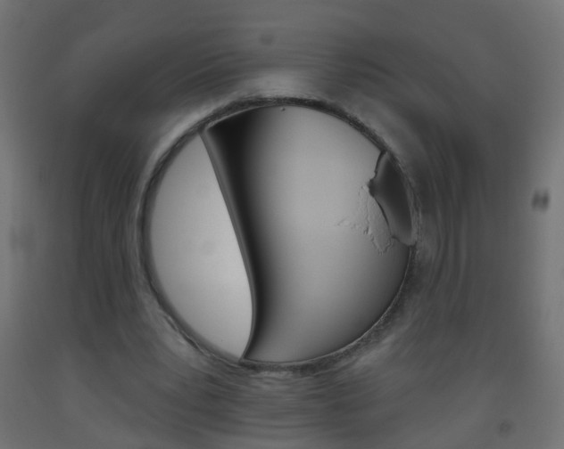 X0000093560391200710151000