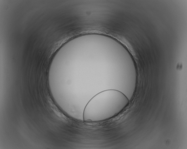 X0000093560393200710151000