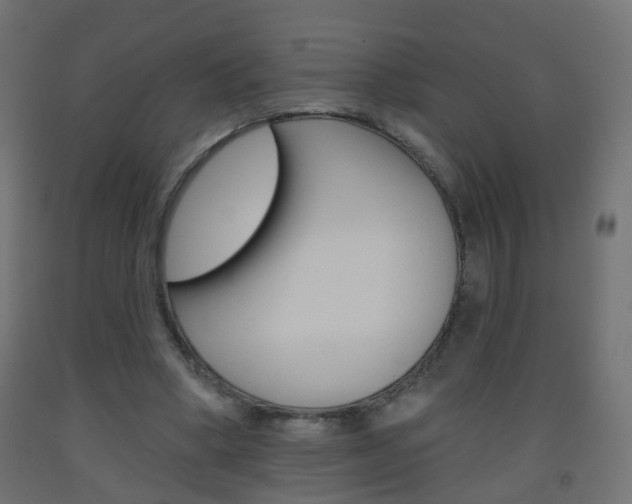X0000093560394200710151000