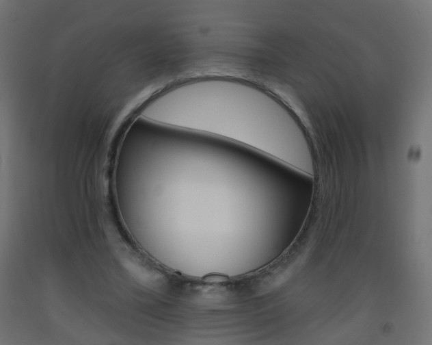 X0000093560395200710151000