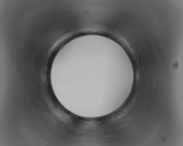 X0000093560396200710151000