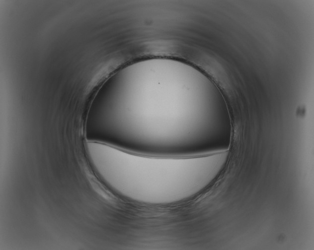 X0000093560397200710151000
