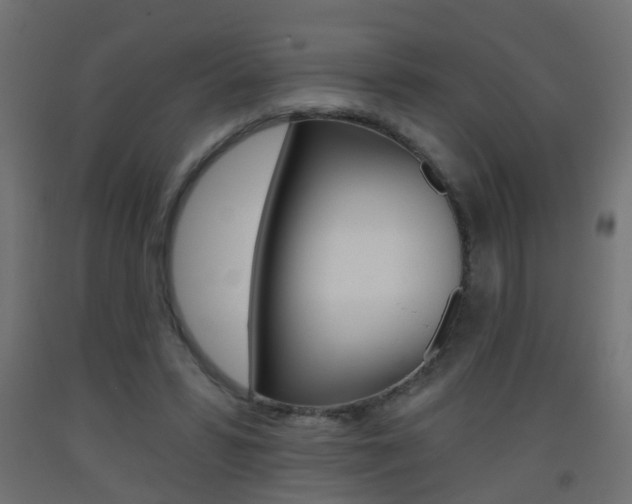 X0000093560399200710151000