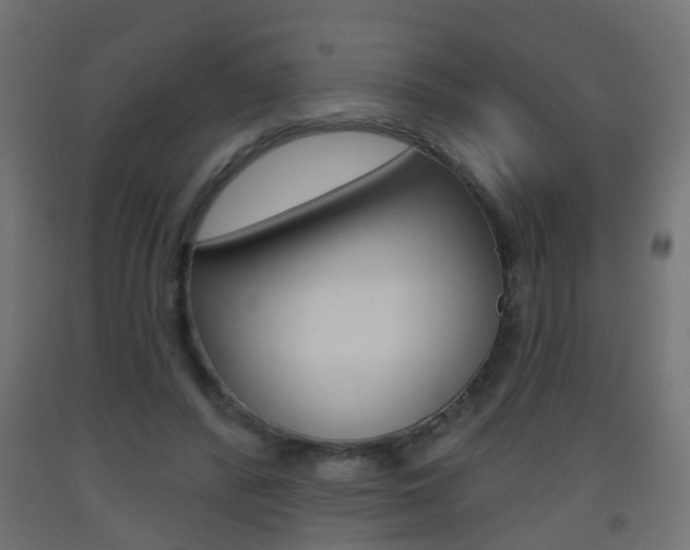 X0000093560400200710151000