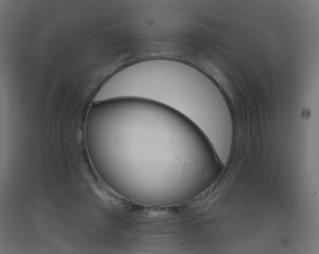 X0000093560401200710151000