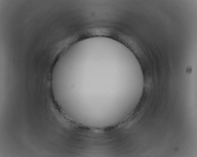 X0000093560402200710151000