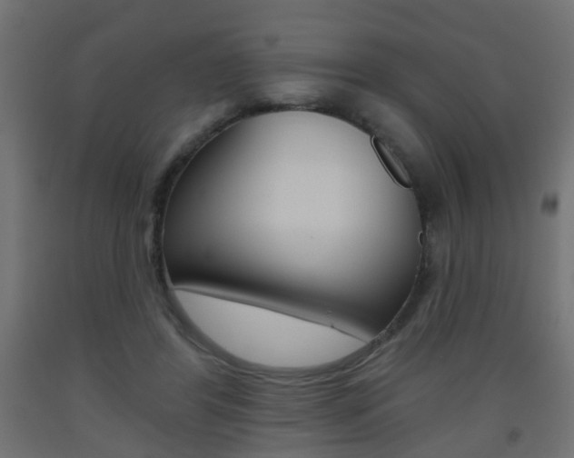 X0000093560404200710151000