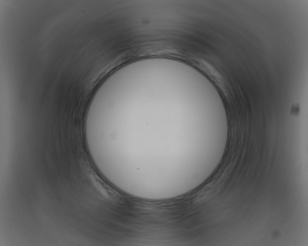 X0000093560405200710151000