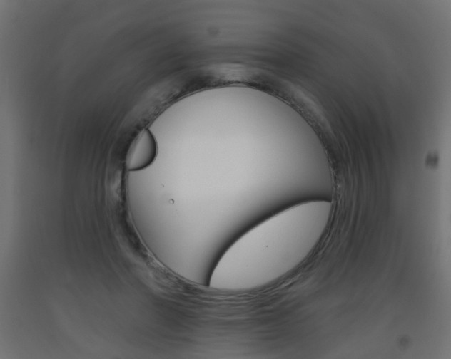 X0000093560406200710151000