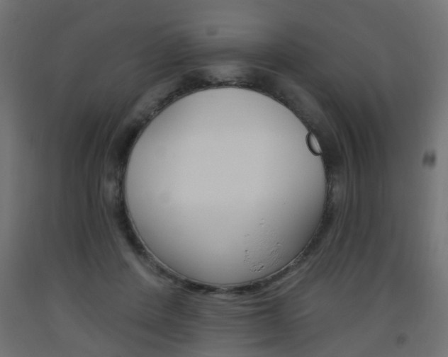 X0000093560408200710151000
