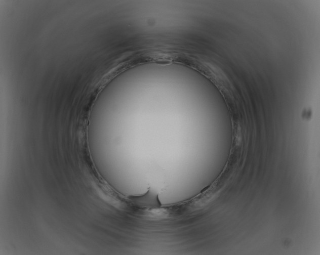 X0000093560409200710151000
