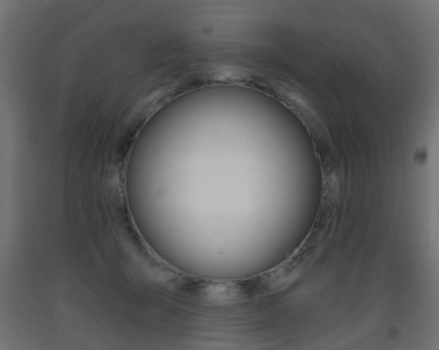 X0000093560415200710151000