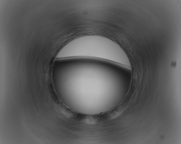 X0000093560416200710151000