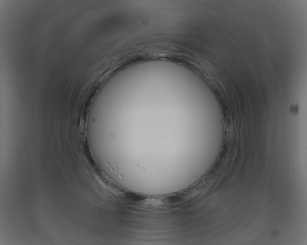 X0000093560418200710151000