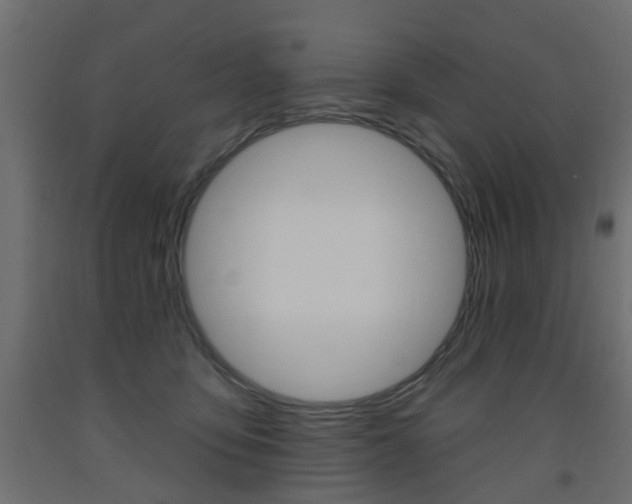 X0000093560419200710151000
