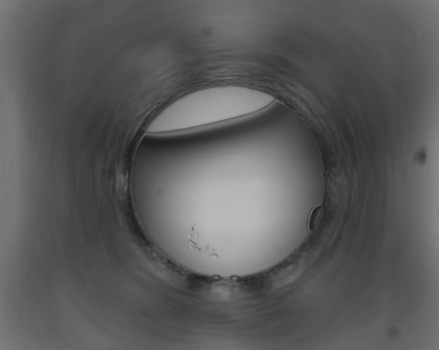 X0000093560420200710151000