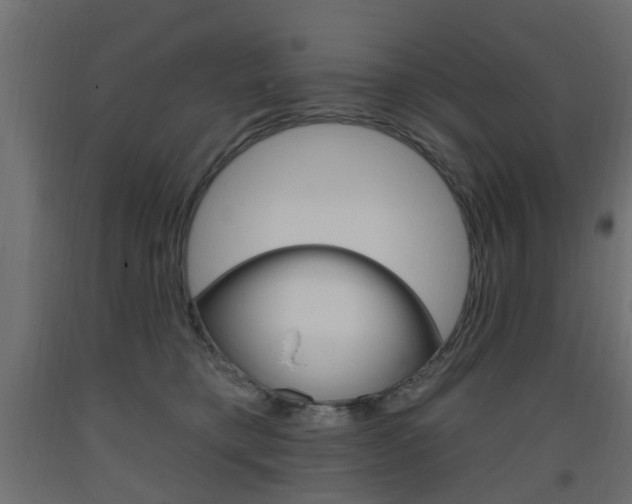 X0000093560421200710151000