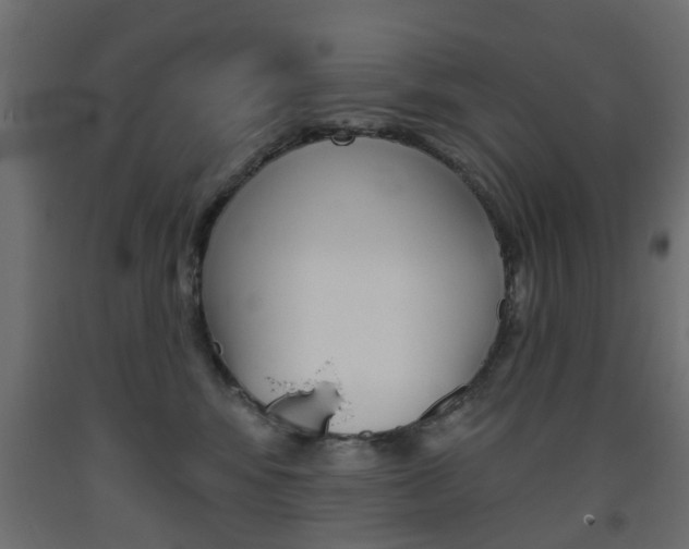 X0000093560424200710151000