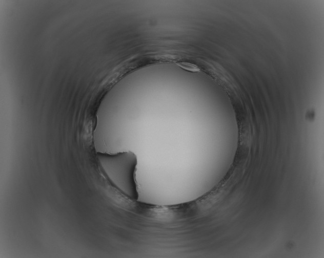 X0000093560425200710151000