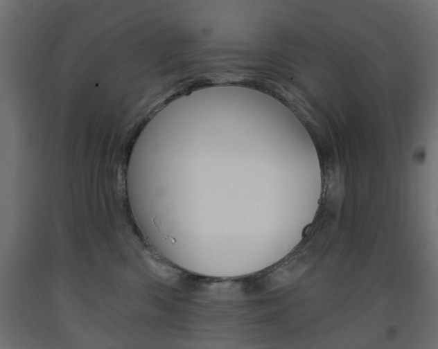X0000093560426200710151000