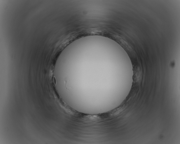 X0000093560427200710151000