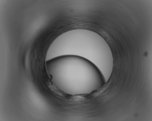 X0000093560429200710151000