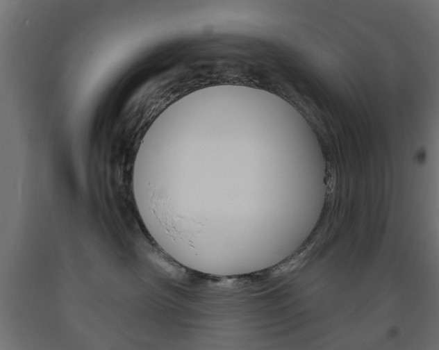 X0000093560430200710151000