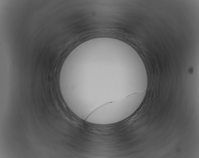 X0000093560431200710151000