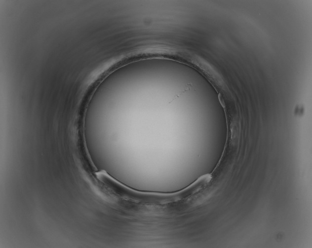 X0000093560436200710150959