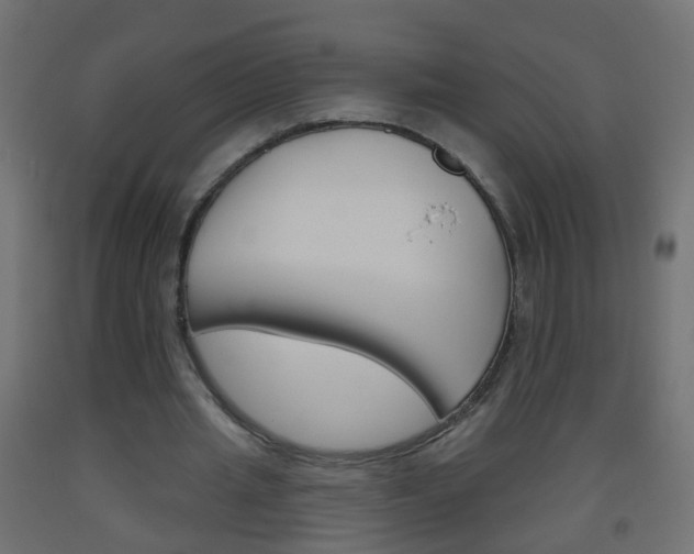X0000093560437200710150959