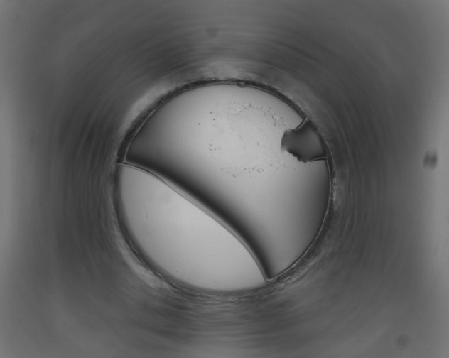 X0000093560438200710150959