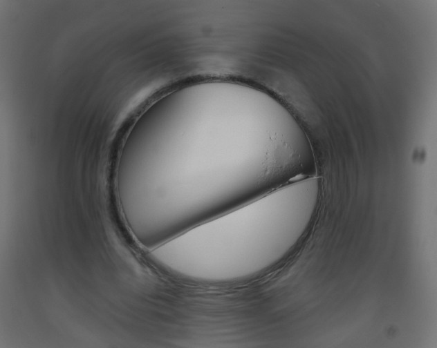 X0000093560440200710150959