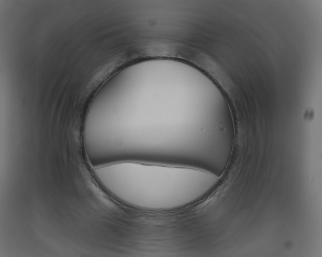 X0000093560441200710150959