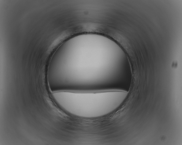 X0000093560442200710150959