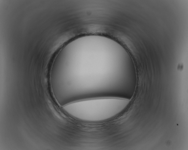 X0000093560443200710150959