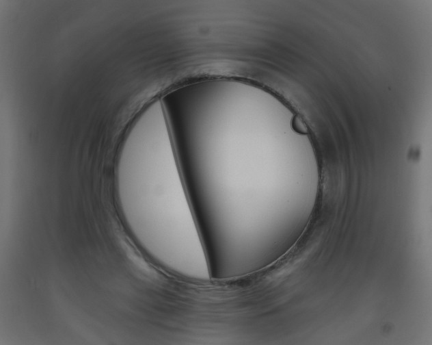 X0000093560445200710150959