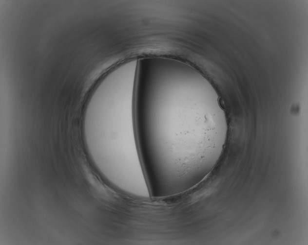 X0000093560446200710150959