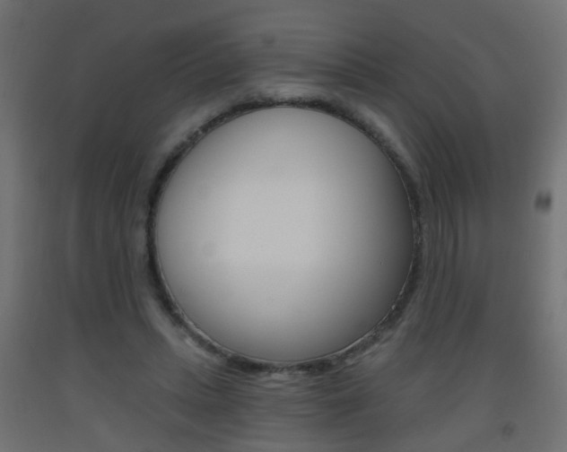 X0000093560447200710150959