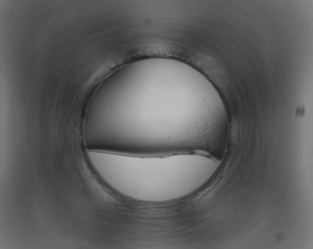 X0000093560449200710150959