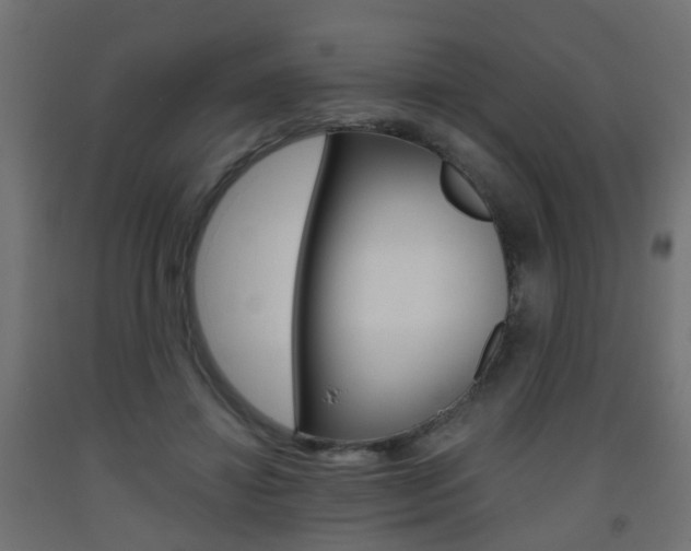 X0000093560452200710150959